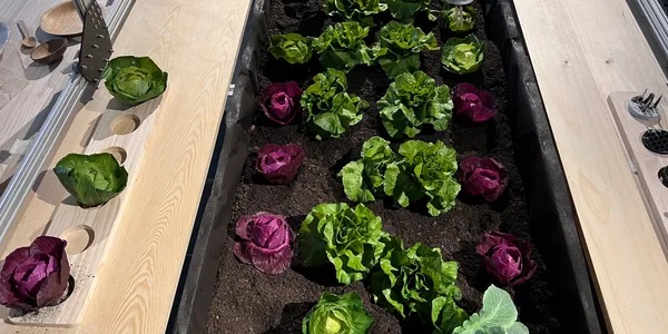 Culture intérieure expérimentale